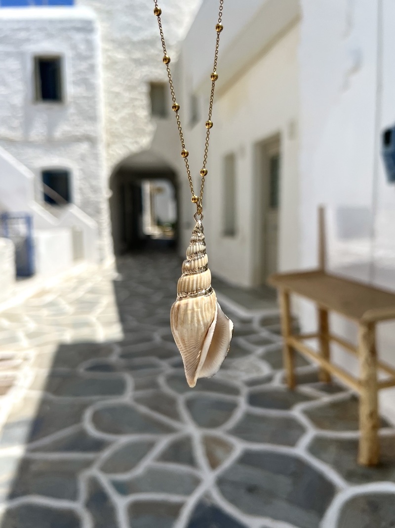 Bold Shell Necklace